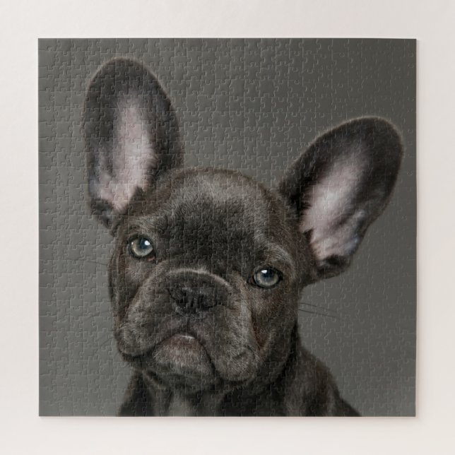 Quebra-cabeça Bebês Mais Pobres | Buldogue francês (Vertical)
