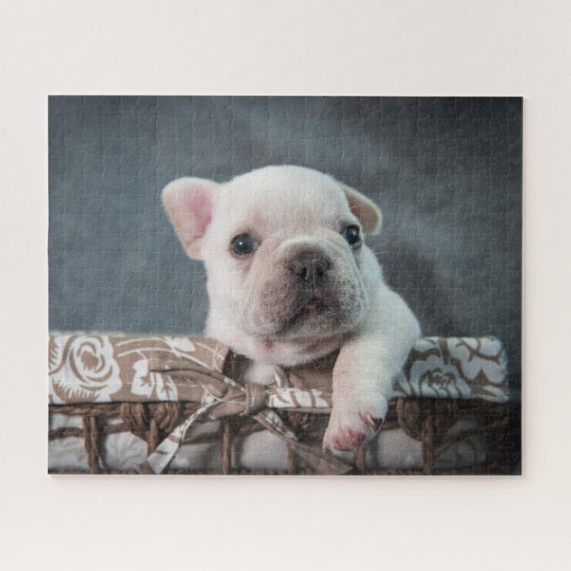Quebra-cabeça Bebês Mais Pobres | Buldogue francês (Horizontal)