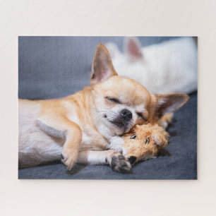 Quebra-cabeça Bebês Mais Pobres Cão Chihuahua de cabelos verme