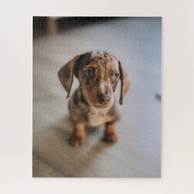 Quebra-cabeça Bebês Mais Pobres | Castanho Dachshund Puppy (Vertical)