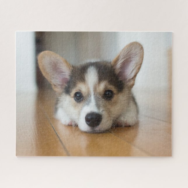 Quebra-cabeça Bebês Mais Pobres | Corgi Puppy Olhando (Horizontal)