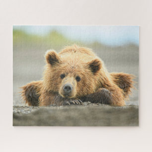 Quebra-cabeça Bebês Mais Pobres Cubo-Urso-Marrom Costeiro