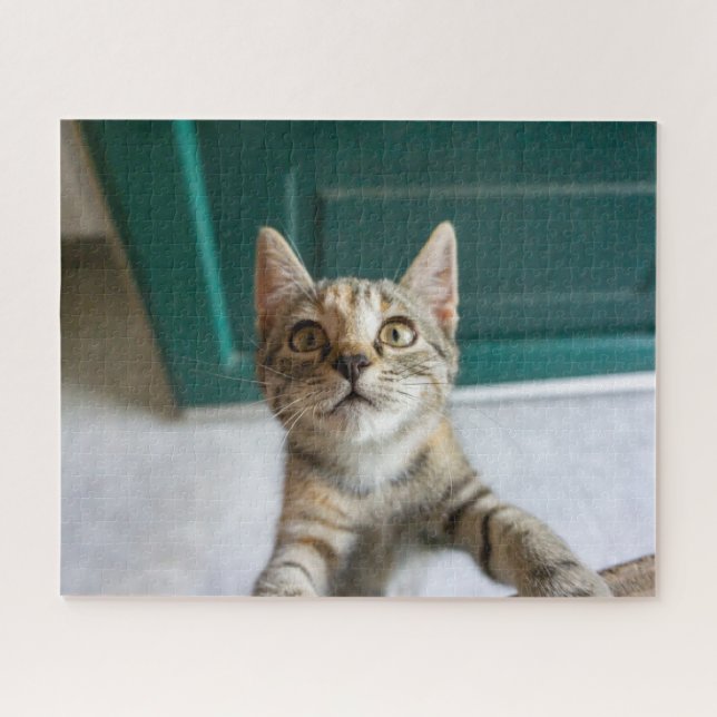 Quebra-cabeça Bebês Mais Pobres | Cute Tabby Kitten (Horizontal)