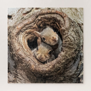 Esquilo na Árvore - Quebra-Cabeça - Geniol