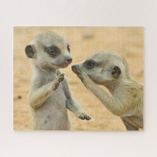 Quebra-cabeça Bebês Mais Pobres Dois Jovens Meerkats