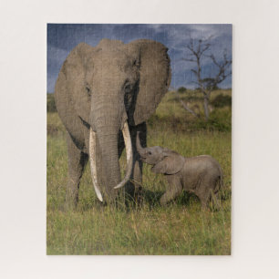 Quebra-cabeça Bebês Mais Pobres   Elefante Amama Com Bebê