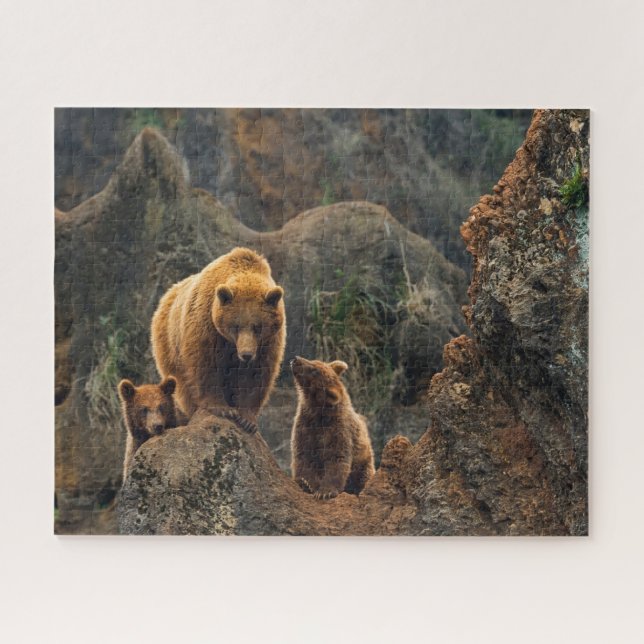 Quebra-cabeça Bebês Mais Pobres | Família Brown Bear (Horizontal)