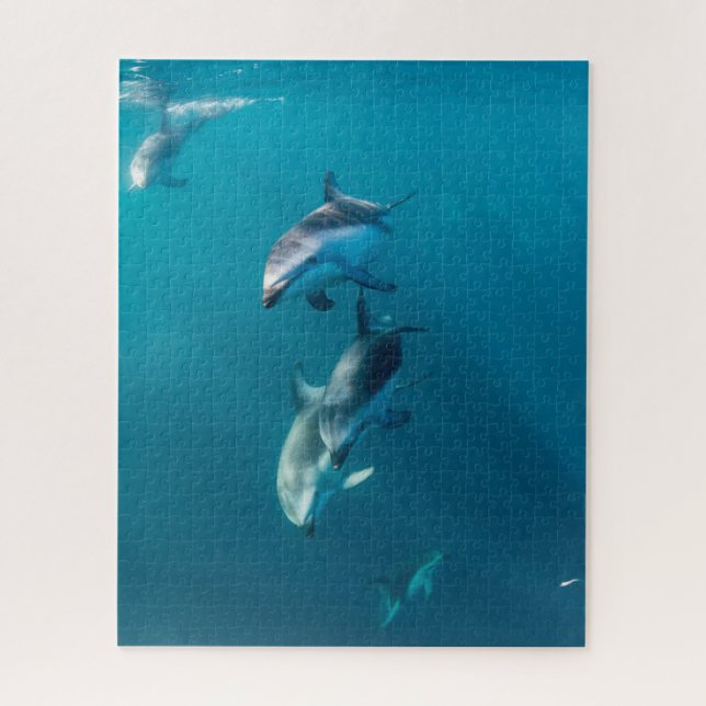 Quebra-cabeça Bebês Mais Pobres | Família de golfinhos (Vertical)