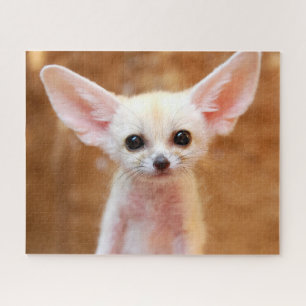 Quebra-cabeça Bebês Mais Pobres   Fennec Fox