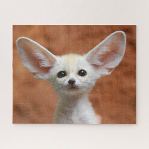 Quebra-cabeça Bebês Mais Pobres   Fennec Fox Pup
