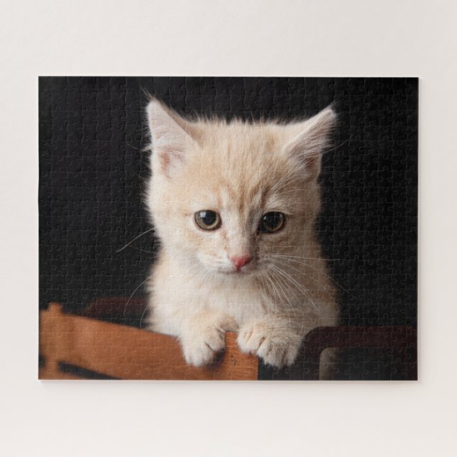 Quebra-cabeça Bebês Mais Pobres | Ginger Kitten (Horizontal)