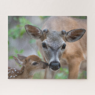 Quebra-cabeça Bebês Mais Pobres Key Deer Stag & Fawn
