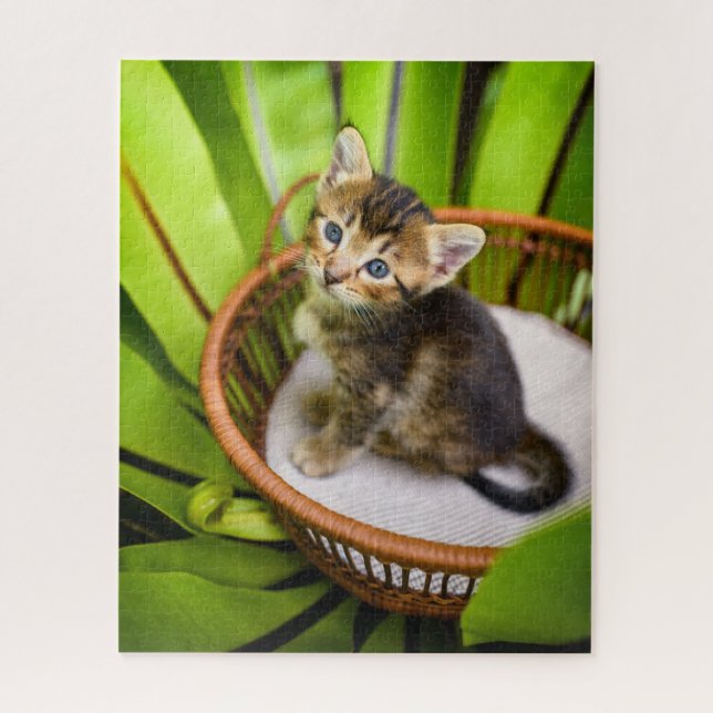 Quebra-cabeça Bebês Mais Pobres | Kitten no cesto (Vertical)