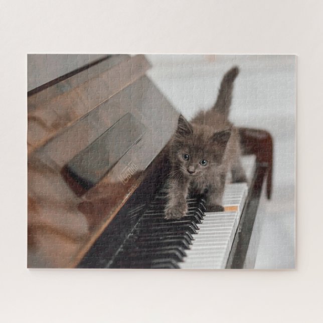 Quebra-cabeça Bebês Mais Pobres | Kitten on Piano (Horizontal)