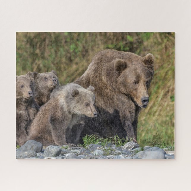 Quebra-cabeça Bebês Mais Pobres | Kodiak Mama Bear & Cubs (Horizontal)