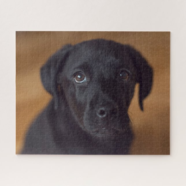 Quebra-cabeça Bebês Mais Pobres | Labrador Preto (Horizontal)