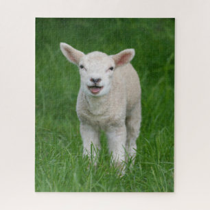 Quebra-cabeça Bebês Mais Pobres Lil Lamb