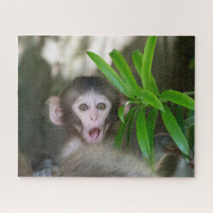 Quebra-cabeça Bebês Mais Pobres Macaco surpreso na neve