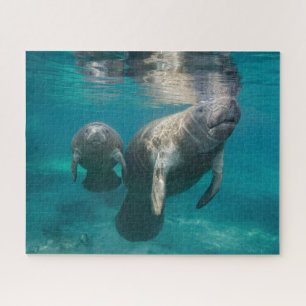 Quebra-cabeça Bebês Mais Pobres   Manateio e Bebê