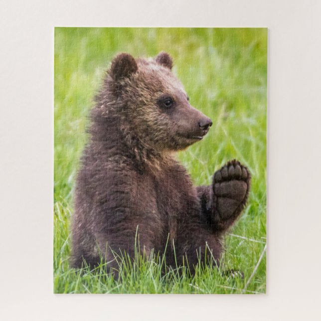 Quebra-cabeça Bebês Mais Pobres | Onda De Cubo De Urso Castanho (Vertical)