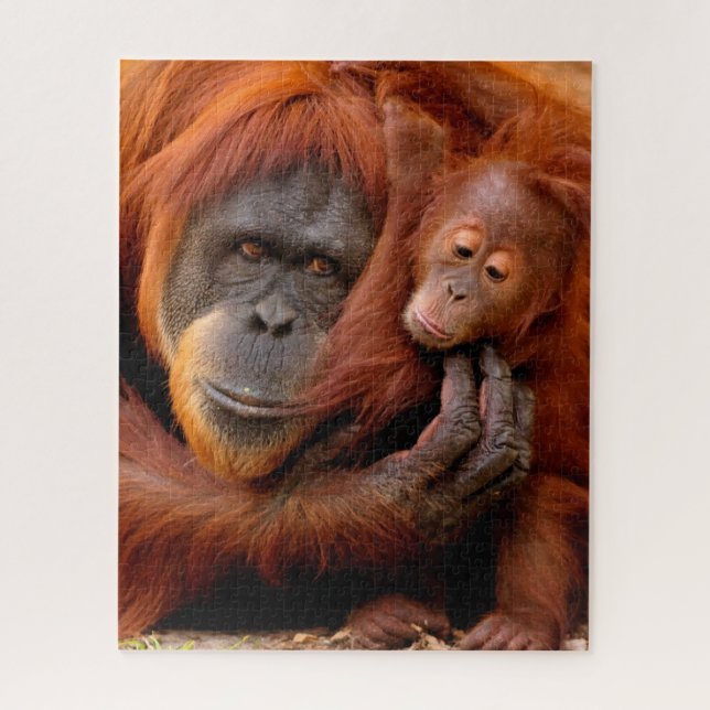Quebra-cabeça Bebês Mais Pobres | Orangutan Mãe e Bebê (Vertical)