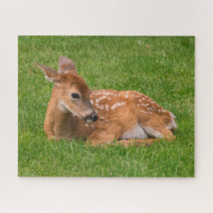 Quebra-cabeça Bebês Mais Pobres Pequena Fawn