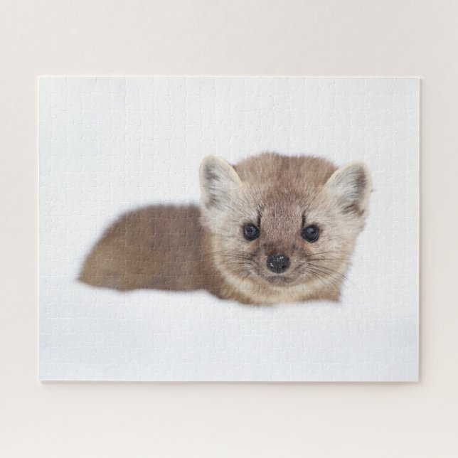 Quebra-cabeça Bebês Mais Pobres | Pine Marten (Horizontal)