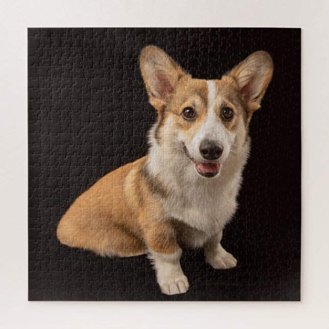 Quebra-cabeça Bebês Mais Pobres | Retrato de Corgi a preto (Vertical)