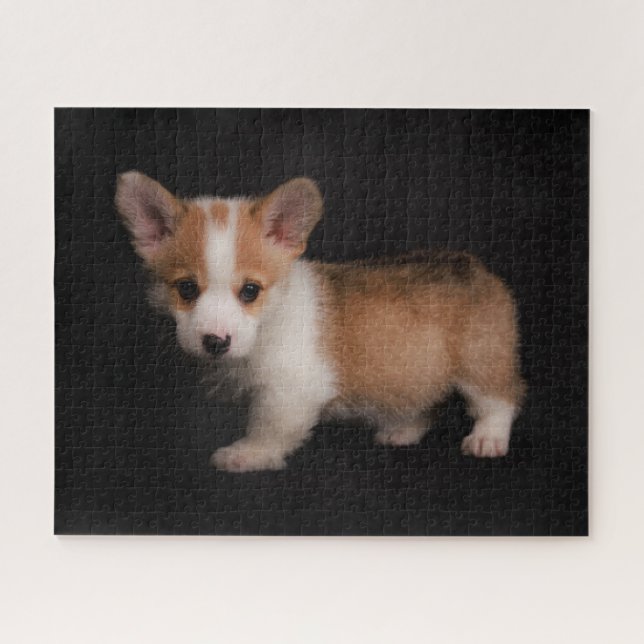 Quebra-cabeça Bebês Mais Pobres | Tiny Corgi (Horizontal)