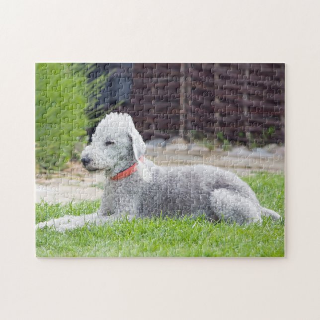 Quebra-cabeça Bedlington Terrier (Horizontal)