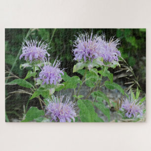 Quebra-cabeça Bee Balm no Prado