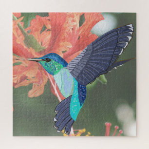 Quebra-cabeça Beija-flor azul e verde e Hibiscus laranja