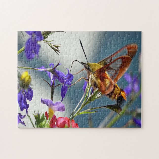Quebra-cabeça Beija-flor Esfinge Mariposa Borboleta. (Horizontal)