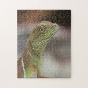 Quebra-cabeça beijo de Iguana
