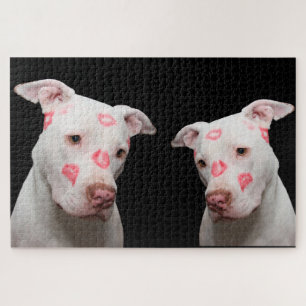 Quebra-cabeça Beijos Pitbull
