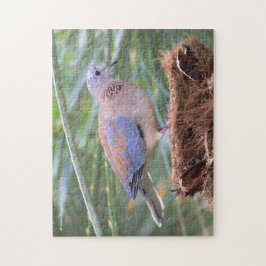 Quebra-cabeça Bela Dove Senegal em toco de árvore