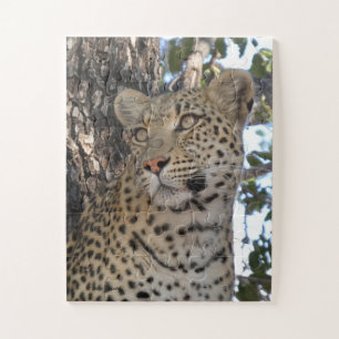 QUEBRA-CABEÇA BELA FÊMEA DE LEOPARDO EM CLOSE-UP