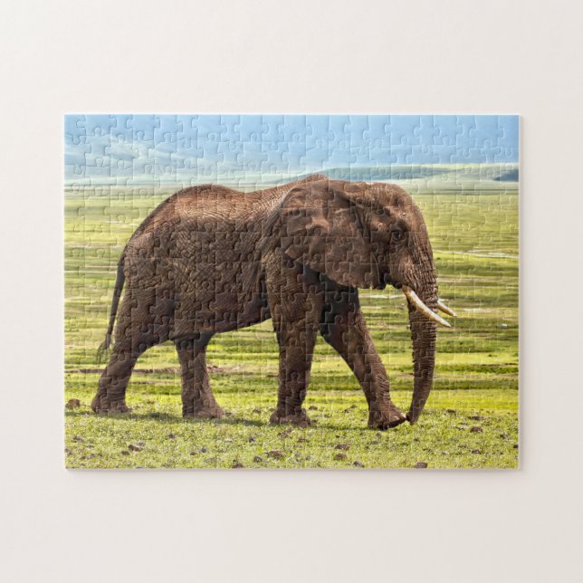Quebra-cabeça Bela Foto de Elefante Grande (Horizontal)
