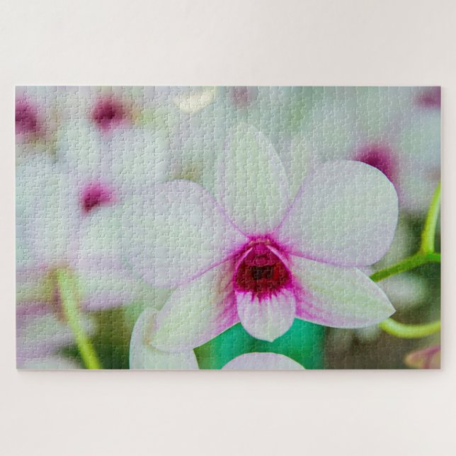 Quebra-cabeça Bela fuchsia e flor branca (Horizontal)