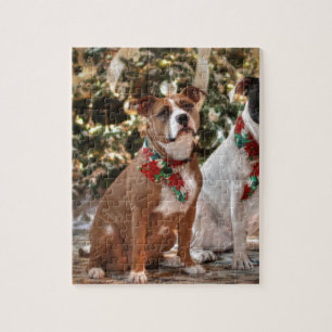 Quebra-cabeça Bela salvação de Natal Pitbull e Boi Cão da Am