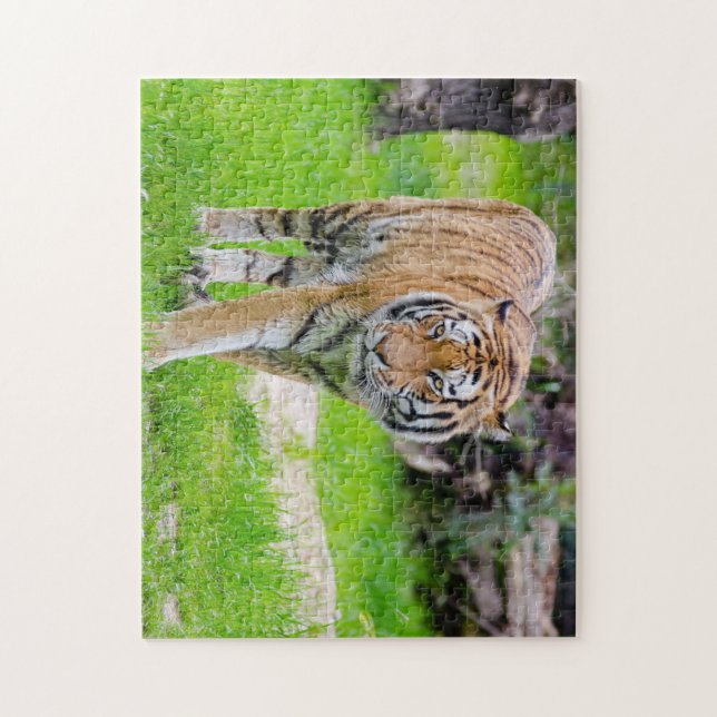 Quebra-cabeça Bela Tigre (Vertical)