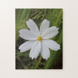 Quebra-cabeça Beleza branca lisa