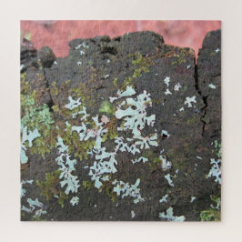 Quebra-cabeça Beleza da Nature Tree Stump Relaxando Autoatendime