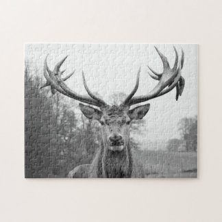 Quebra-cabeça Beleza na natureza