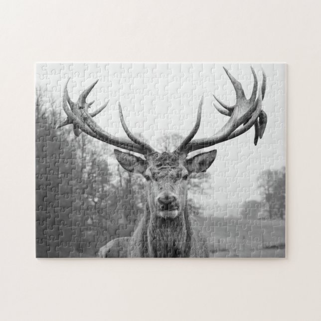 Quebra-cabeça Beleza na natureza (Horizontal)