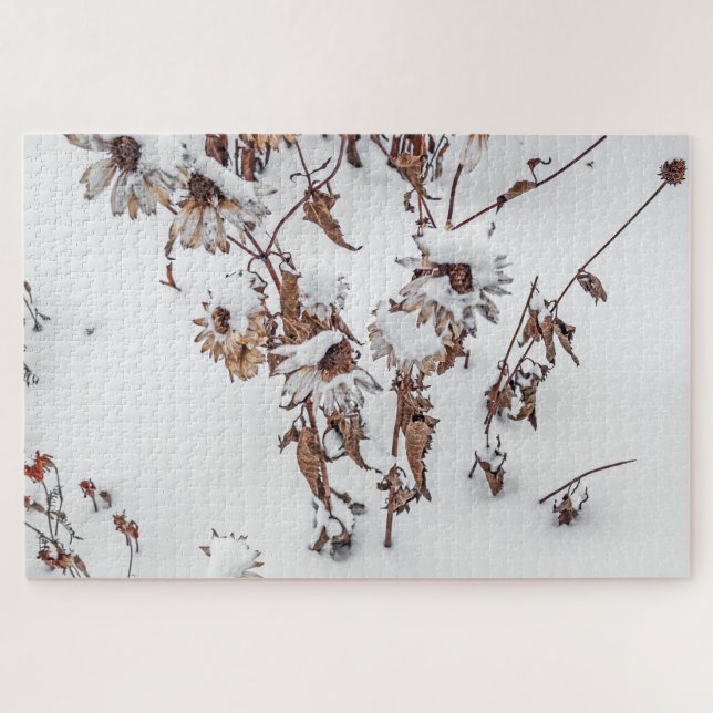 Quebra-cabeça Beleza no inverno - 1014 (Horizontal)