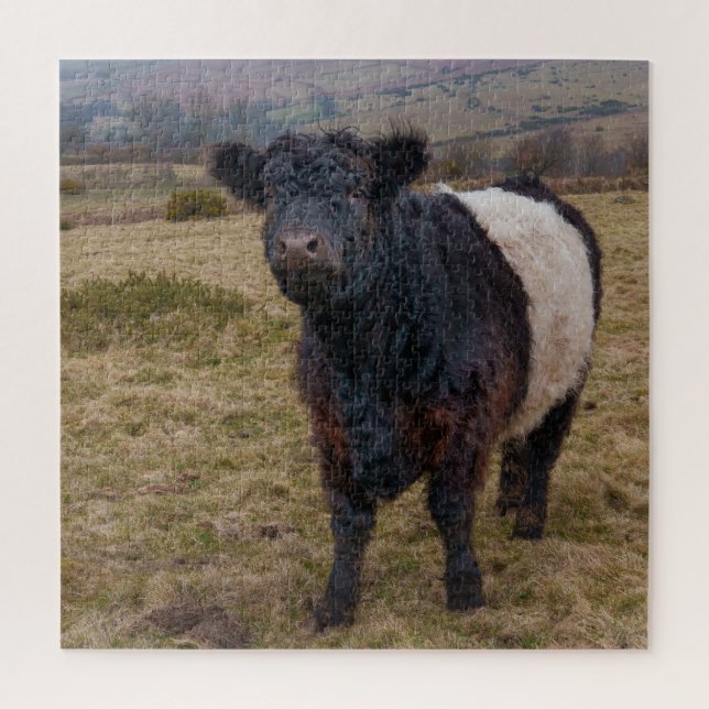 Quebra-cabeça Belga Galloway Sentindo Orgulho em Dartmoor Farmla (Vertical)