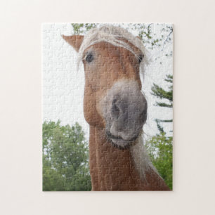 Quebra-cabeça Belga Rascunho de Bobo de Cavalo