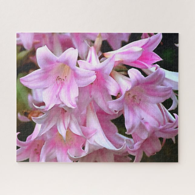 Quebra-cabeça Belladonna Amaryllis Lilies, Cor-de-Rosa (Horizontal)