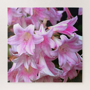 Quebra-cabeça Belladonna Amaryllis Lilies, Rosa,